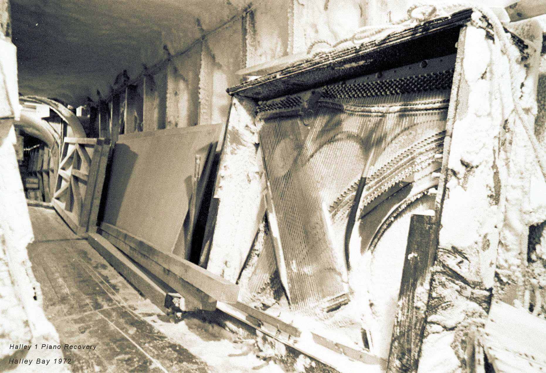 1. Halley 1 Piano Recovered